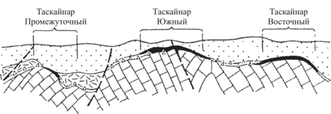 Схема размещения рудных залежей Таскайнарских флюоритовых месторождений — продольный разрез (вверху) и геологический разрез месторождения Таскайнар-Южный (внизу) (по Я П. Самсонову).