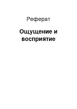 Реферат: Ощущение и восприятие