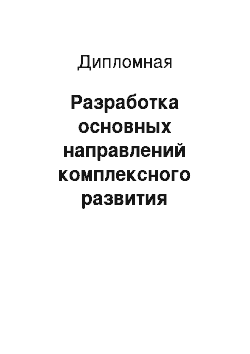 Дипломная: Разработка основных направлений комплексного развития организации