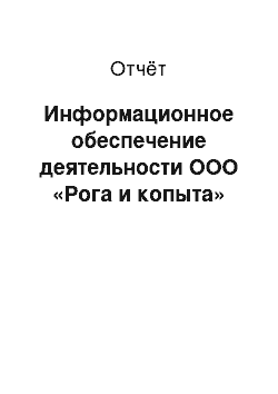 Отчёт: Информационное обеспечение деятельности ООО «Рога и копыта»