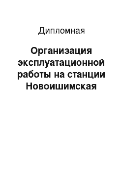 Дипломная: Организация эксплуатационной работы на станции Новоишимская