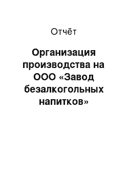 Отчёт: Организация производства на ООО «Завод безалкогольных напитков»