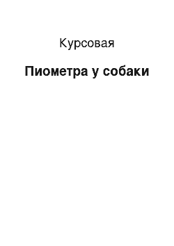 Курсовая: Пиометра у собаки