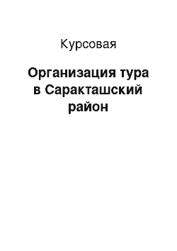 Курсовая: Организация тура в Саракташский район