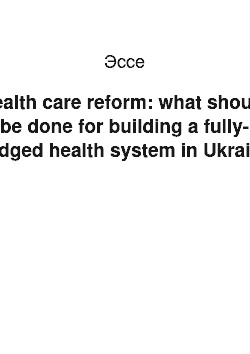 Эссе: Health care reform: what should be done for building a fully-fledged health system in Ukraine