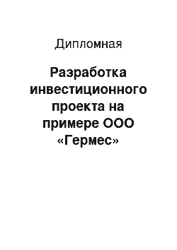 Дипломная: Разработка инвестиционного проекта на примере ООО «Гермес»