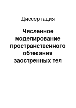 Диссертация: Численное моделирование пространственного обтекания заостренных тел сверхзвуковым потоком вязкого газа