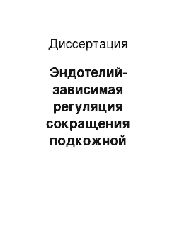 Диссертация: Эндотелий-зависимая регуляция сокращения подкожной артерии у крыс в раннем постнатальном онтогенезе