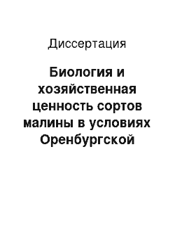 Диссертация: Биология и хозяйственная ценность сортов малины в условиях Оренбургской области