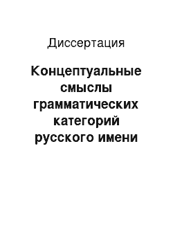 Диссертация: Концептуальные смыслы грамматических категорий русского имени существительного на фоне китайского языка