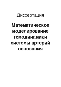 Диссертация: Математическое моделирование гемодинамики системы артерий основания головного мозга