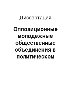 Диссертация: Оппозиционные молодежные общественные объединения в политическом процессе современной России