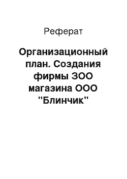 Реферат: Организационный план. Создания фирмы ЗОО магазина ООО "Блинчик"