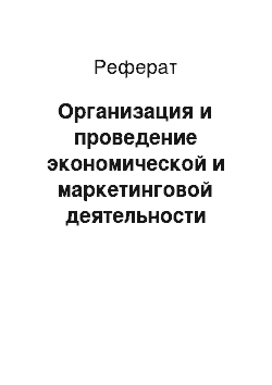 Реферат: Организация и проведение экономической и маркетинговой деятельности