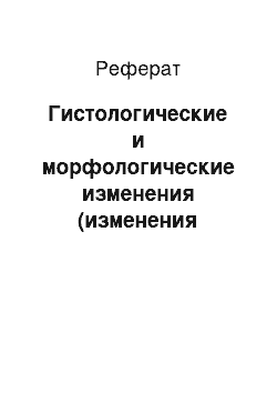 Реферат: Гистологические и морфологические изменения (изменения клеточного строения и формы клеток) кожи