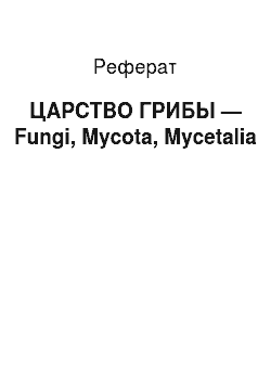 Реферат: ЦАРСТВО ГРИБЫ — Fungi, Mycota, Mycetalia