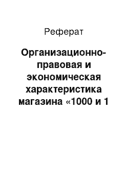 Реферат: Организационно-правовая и экономическая характеристика магазина «1000 и 1 бутылка»