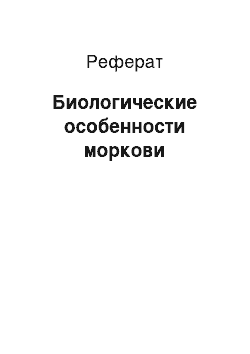 Реферат: Биологические особенности моркови