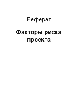 Реферат: Факторы риска проекта