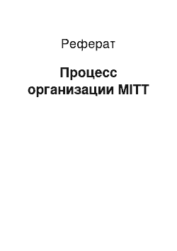 Реферат: Процесс организации MITT