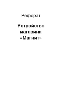 Реферат: Устройство магазина «Магнит»