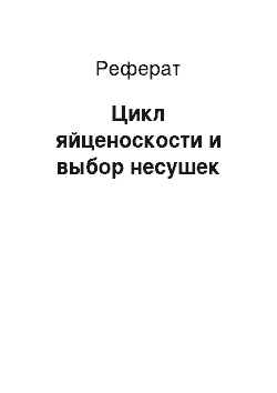 Реферат: Цикл яйценоскости и выбор несушек