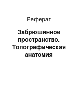 Реферат: Забрюшинное пространство. Топографическая анатомия