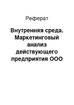 Реферат: Внутренняя среда. Маркетинговый анализ действующего предприятия ООО "Дина Эль"