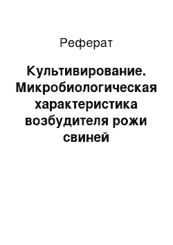 Реферат: Культивирование. Микробиологическая характеристика возбудителя рожи свиней