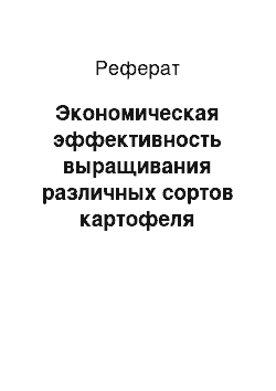 Реферат: Экономическая эффективность выращивания различных сортов картофеля