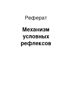 Реферат: Механизм условных рефлексов