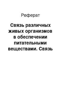 Реферат: Связь различных живых организмов в обеспечении питательными веществами. Связь организмов друг с другом