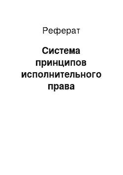 Реферат: Система принципов исполнительного права