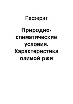 Реферат: Природно-климатические условия. Характеристика озимой ржи