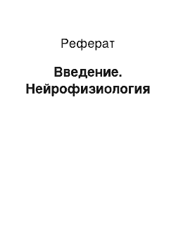 Реферат: Введение. Нейрофизиология