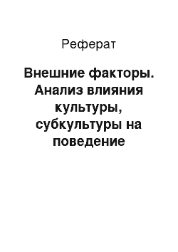 Реферат: Внешние факторы. Анализ влияния культуры, субкультуры на поведение потребителей