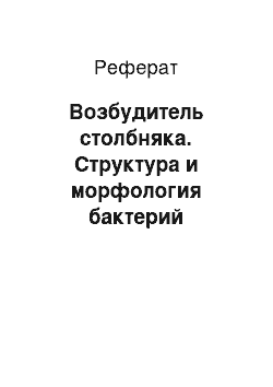 Реферат: Возбудитель столбняка. Структура и морфология бактерий