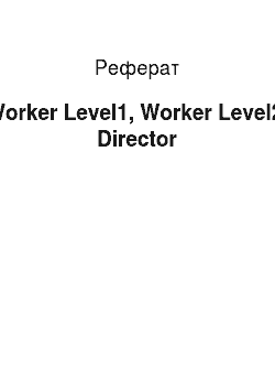 Реферат: Worker Level1, Worker Level2, Director