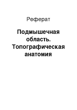 Реферат: Подмышечная область. Топографическая анатомия