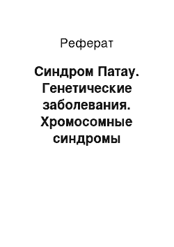 Реферат: Синдром Патау. Генетические заболевания. Хромосомные синдромы