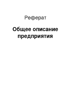 Реферат: Общее описание предприятия