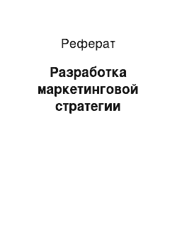 Реферат: Разработка маркетинговой стратегии