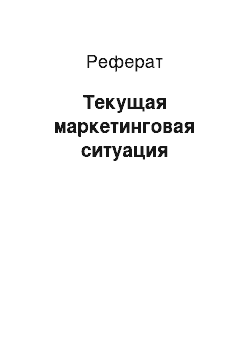 Реферат: Текущая маркетинговая ситуация