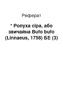 Реферат: * Ропуха сіра, або звичайна Bufo bufo (Linnaeus, 1758) БЕ (3)
