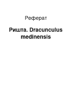 Реферат: Ришта. Dracunculus medinensis