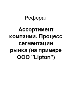 Реферат: Ассортимент компании. Процесс сегментации рынка (на примере ООО "Lipton")