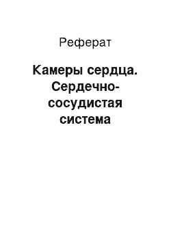 Реферат: Камеры сердца. Сердечно-сосудистая система