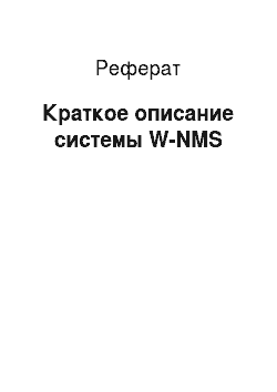 Реферат: Краткое описание системы W-NMS