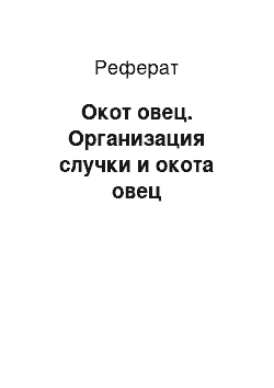 Реферат: Окот овец. Организация случки и окота овец