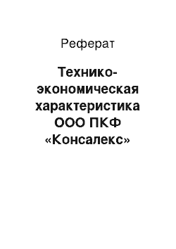 Реферат: Технико-экономическая характеристика ООО ПКФ «Консалекс»